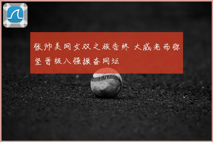张帅美网女双之旅告终 大威老而弥坚晋级八强振奋网坛